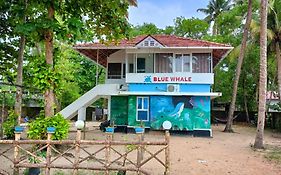 Marari Blue Whale Beach House