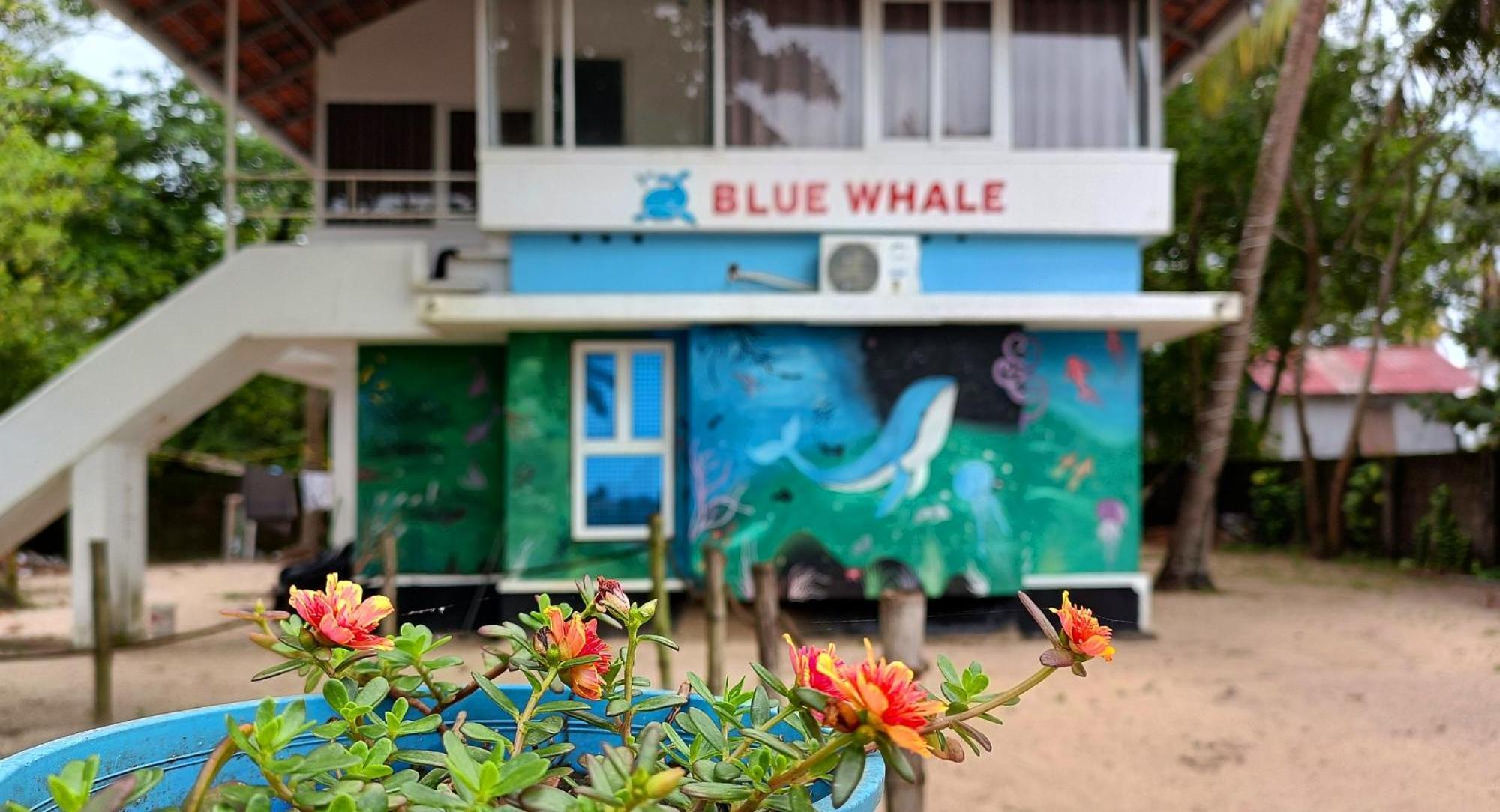 Marari Blue Whale Beach House Alappuzha Exterior photo